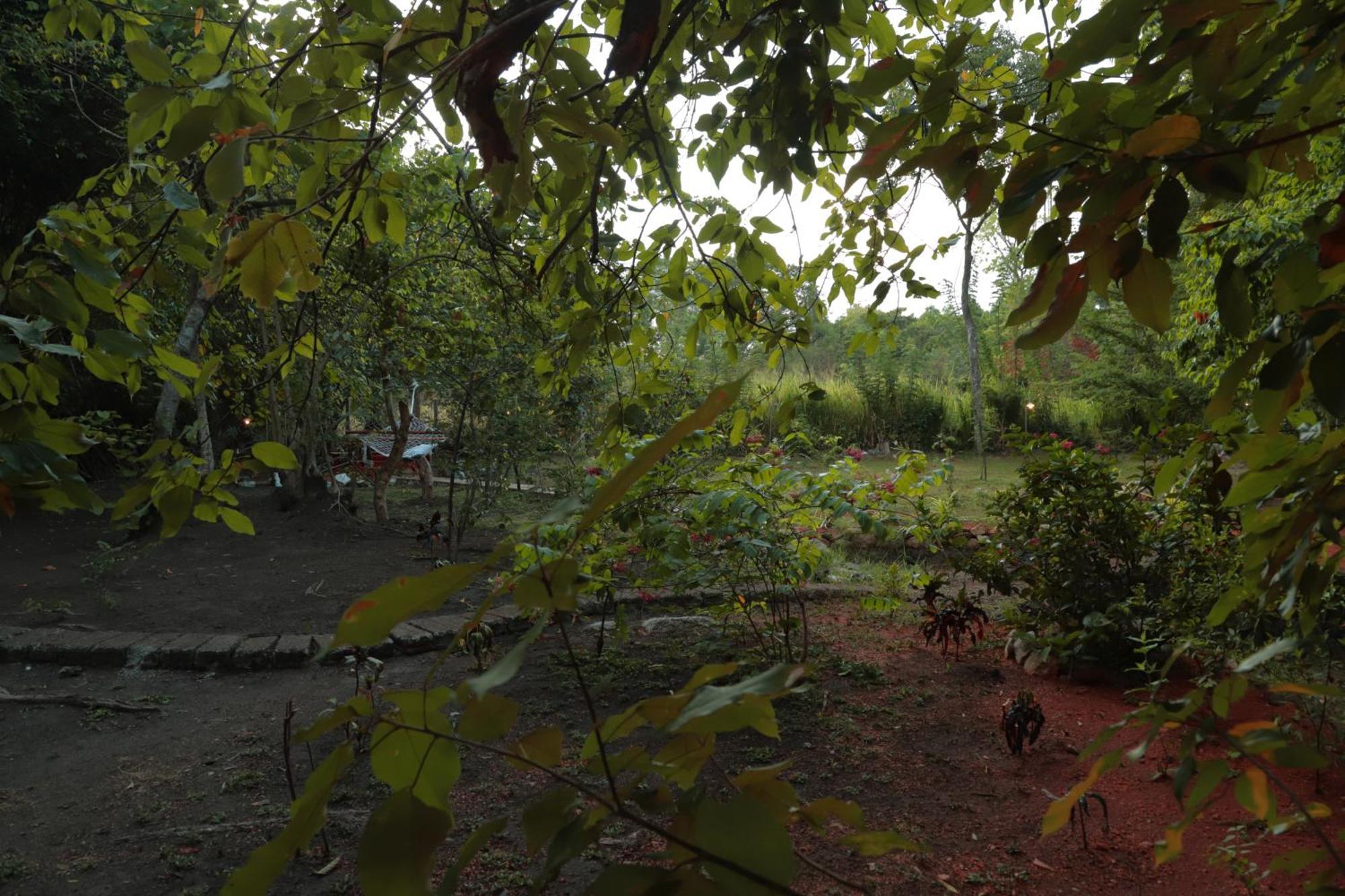 The Cattleya Guest House Sigiriya Exterior foto