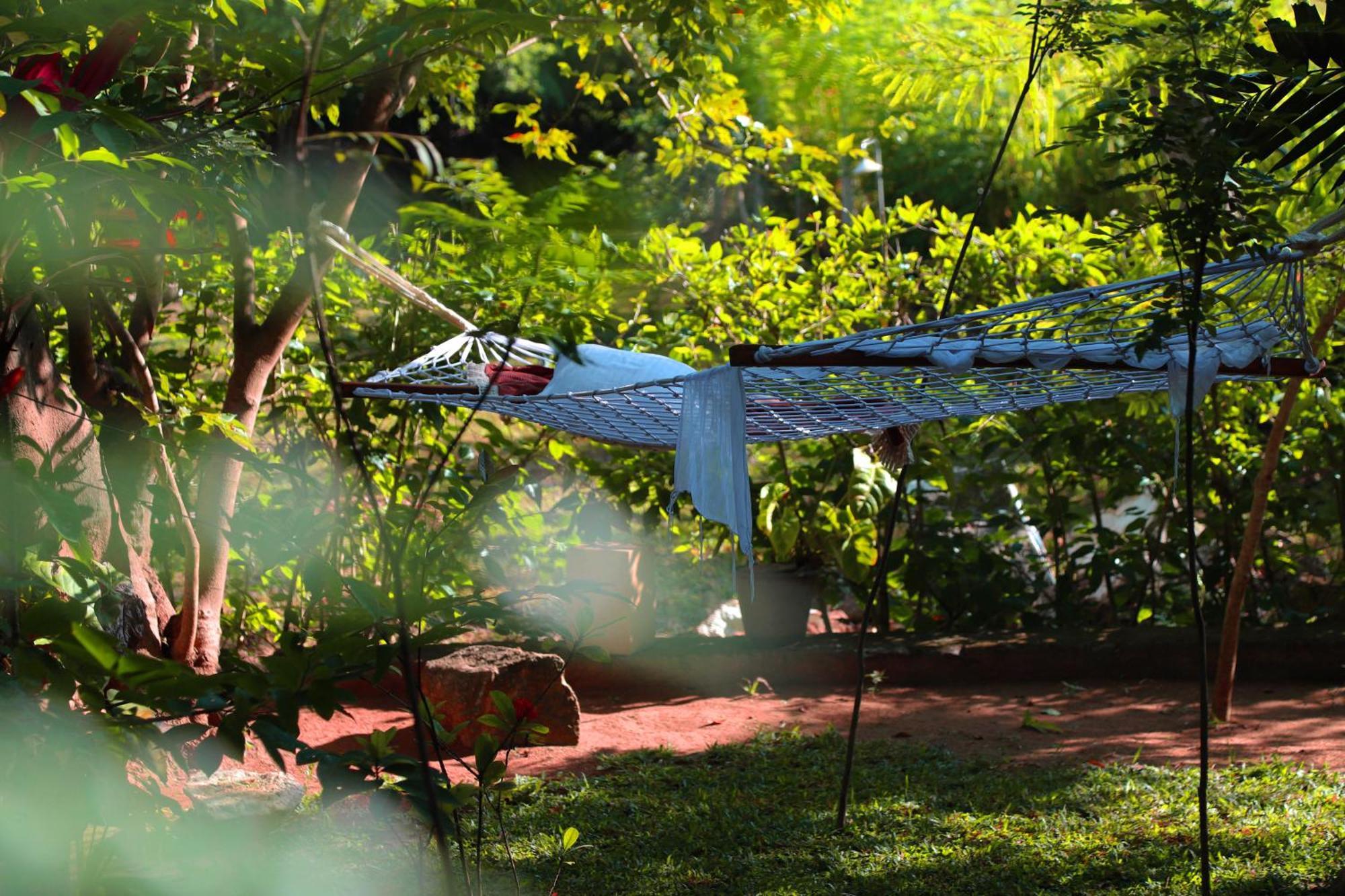 The Cattleya Guest House Sigiriya Exterior foto