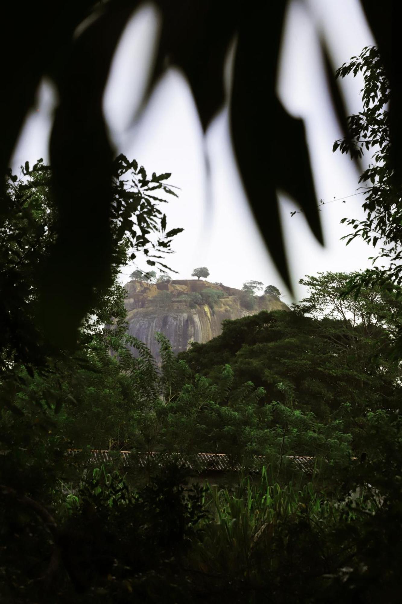 The Cattleya Guest House Sigiriya Exterior foto